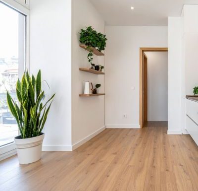 Gestion réfléchie et valorisation de biens immobiliers à Montpellier Intérieur lumineux et minimaliste avec parquet clair et plantes vertes illustrant une gestion réfléchie d’un bien immobilier